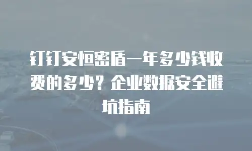 钉钉安恒密盾一年多少钱收费的多少？企业数据安全避坑指南