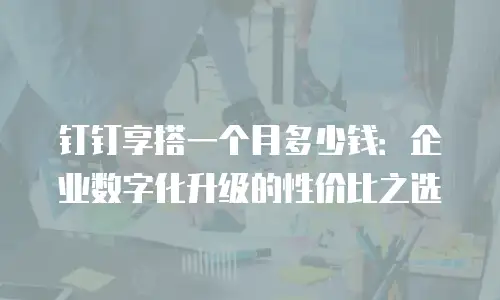 钉钉享搭一个月多少钱：企业数字化升级的性价比之选