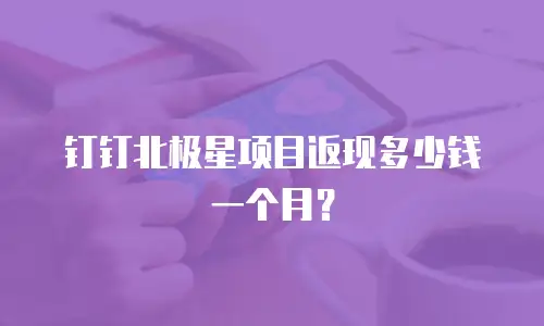钉钉北极星项目返现多少钱一个月？