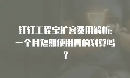 钉钉工程宝扩容费用解析：一个月短期使用真的划算吗？