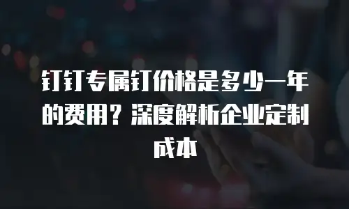 钉钉专属钉价格是多少一年的费用？深度解析企业定制成本