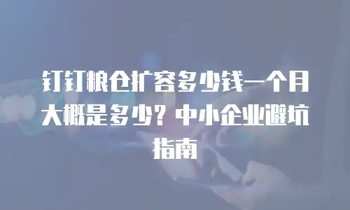 钉钉粮仓扩容多少钱一个月大概是多少？中小企业避坑指南
