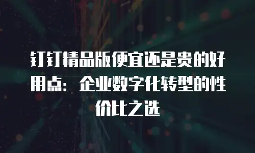 钉钉精品版便宜还是贵的好用点：企业数字化转型的性价比之选