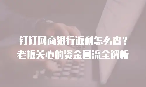 钉钉网商银行返利怎么查？老板关心的资金回流全解析