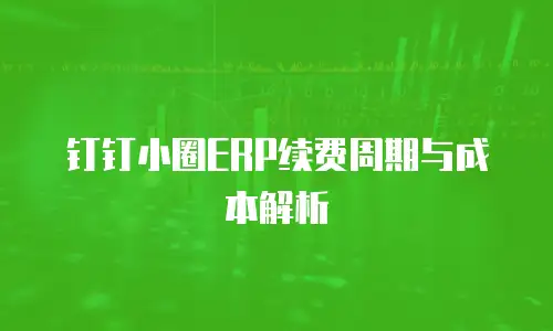 钉钉小圈ERP续费周期与成本解析
