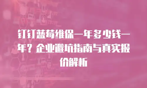 钉钉蓝莓维保一年多少钱一年？企业避坑指南与真实报价解析