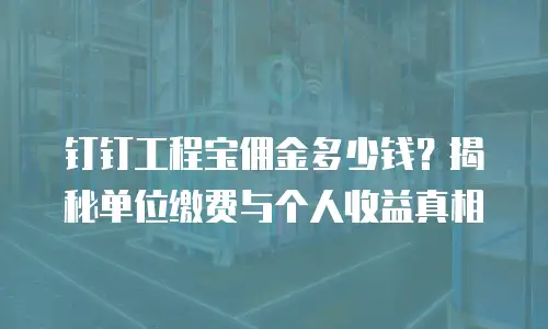 钉钉工程宝佣金多少钱？揭秘单位缴费与个人收益真相