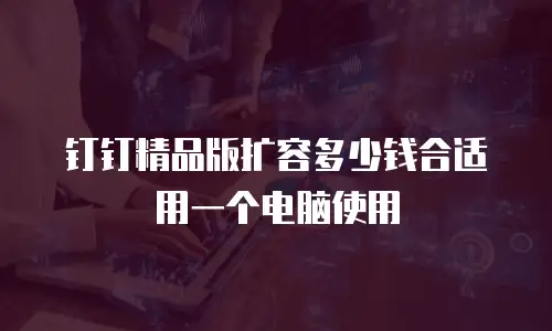 钉钉精品版扩容多少钱合适用一个电脑使用