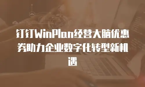钉钉WinPlan经营大脑优惠券助力企业数字化转型新机遇
