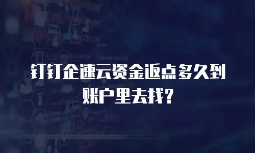钉钉企速云资金返点多久到账户里去找？
