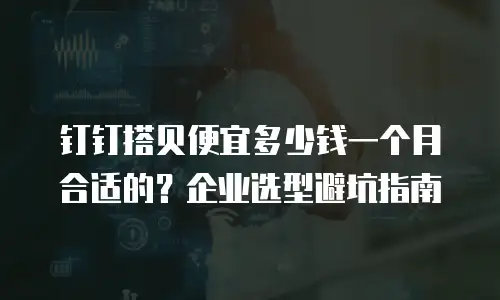 钉钉搭贝便宜多少钱一个月合适的？企业选型避坑指南