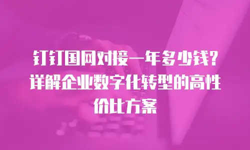 钉钉国网对接一年多少钱？详解企业数字化转型的高性价比方案