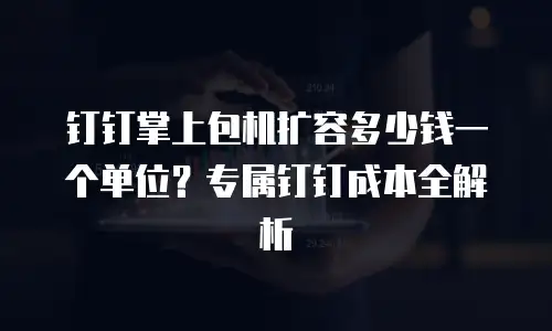 钉钉掌上包机扩容多少钱一个单位？专属钉钉成本全解析