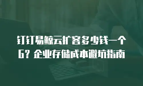 钉钉易鲸云扩容多少钱一个G？企业存储成本避坑指南