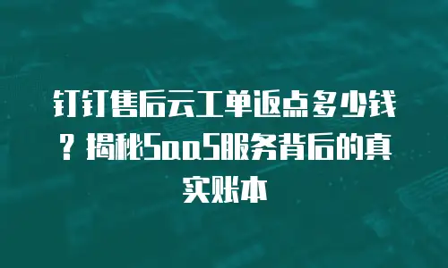 钉钉售后云工单返点多少钱？揭秘SaaS服务背后的真实账本