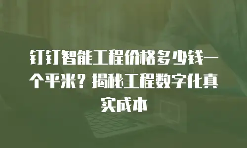 钉钉智能工程价格多少钱一个平米？揭秘工程数字化真实成本