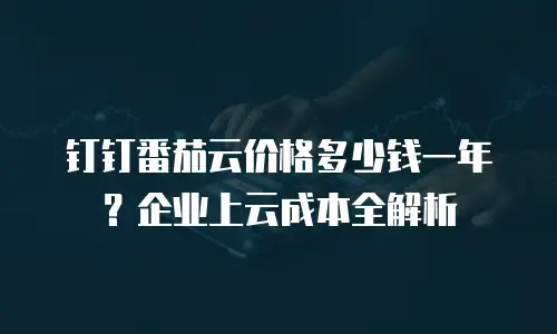 钉钉番茄云价格多少钱一年？企业上云成本全解析