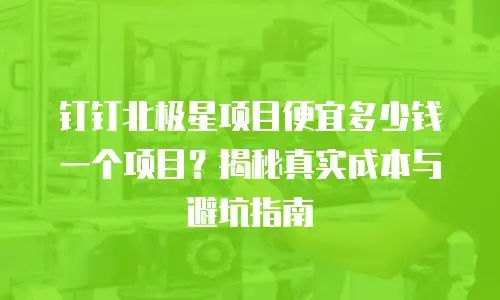 钉钉北极星项目便宜多少钱一个项目？揭秘真实成本与避坑指南