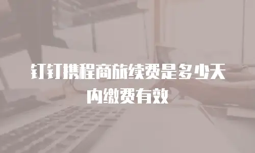 钉钉携程商旅续费是多少天内缴费有效