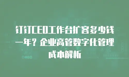 钉钉CEO工作台扩容多少钱一年？企业高管数字化管理成本解析