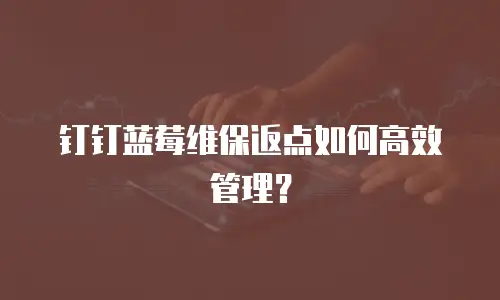 钉钉蓝莓维保返点如何高效管理？