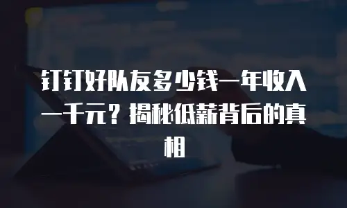 钉钉好队友多少钱一年收入一千元？揭秘低薪背后的真相