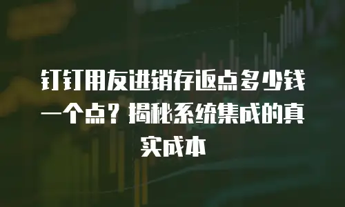 钉钉用友进销存返点多少钱一个点？揭秘系统集成的真实成本