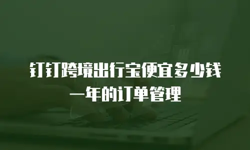 钉钉跨境出行宝便宜多少钱一年的订单管理