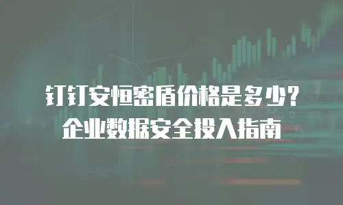 钉钉安恒密盾价格是多少？企业数据安全投入指南