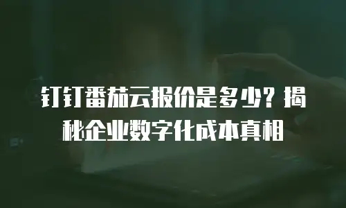 钉钉番茄云报价是多少？揭秘企业数字化成本真相