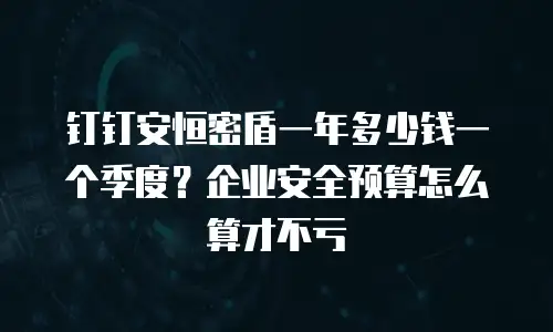钉钉安恒密盾一年多少钱一个季度？企业安全预算怎么算才不亏