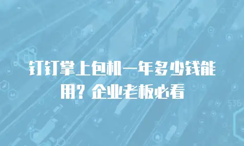 钉钉掌上包机一年多少钱能用？企业老板必看