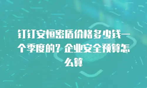 钉钉安恒密盾价格多少钱一个季度的？企业安全预算怎么算