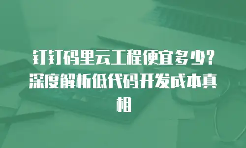 钉钉码里云工程便宜多少？深度解析低代码开发成本真相