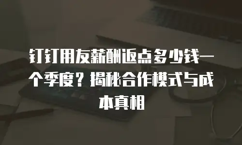 钉钉用友薪酬返点多少钱一个季度？揭秘合作模式与成本真相