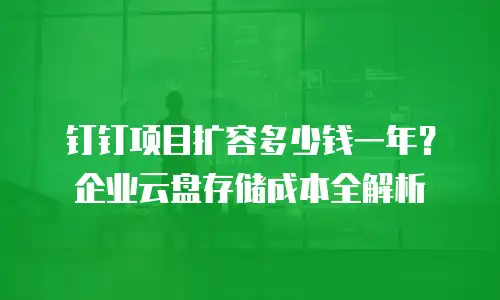 钉钉项目扩容多少钱一年？企业云盘存储成本全解析