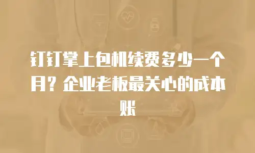 钉钉掌上包机续费多少一个月？企业老板最关心的成本账