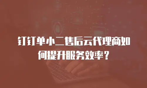 钉钉单小二售后云代理商如何提升服务效率？