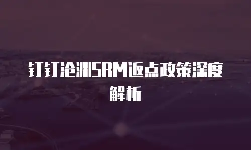 钉钉沧渊SRM返点政策深度解析