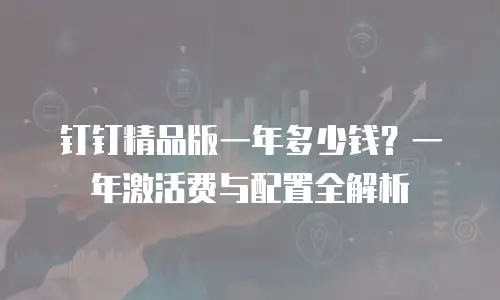 钉钉精品版一年多少钱？一年激活费与配置全解析