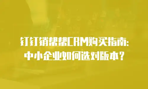 钉钉销帮帮CRM购买指南：中小企业如何选对版本？