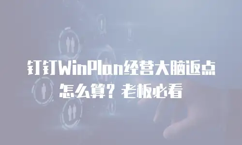 钉钉WinPlan经营大脑返点怎么算？老板必看