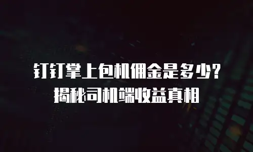 钉钉掌上包机佣金是多少？揭秘司机端收益真相