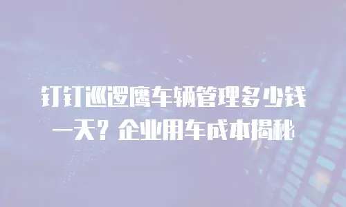 钉钉巡逻鹰车辆管理多少钱一天？企业用车成本揭秘