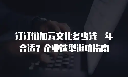 钉钉微加云文化多少钱一年合适？企业选型避坑指南
