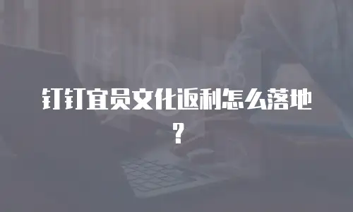 钉钉宜员文化返利怎么落地？