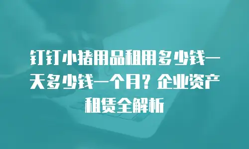钉钉小猪用品租用多少钱一天多少钱一个月？企业资产租赁全解析