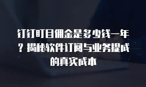 钉钉盯目佣金是多少钱一年？揭秘软件订阅与业务提成的真实成本