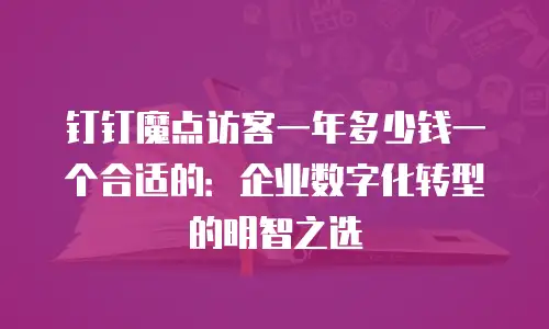 钉钉魔点访客一年多少钱一个合适的：企业数字化转型的明智之选