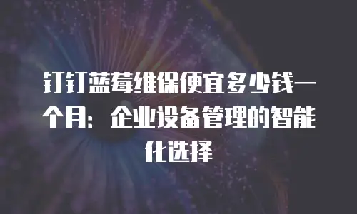 钉钉蓝莓维保便宜多少钱一个月：企业设备管理的智能化选择